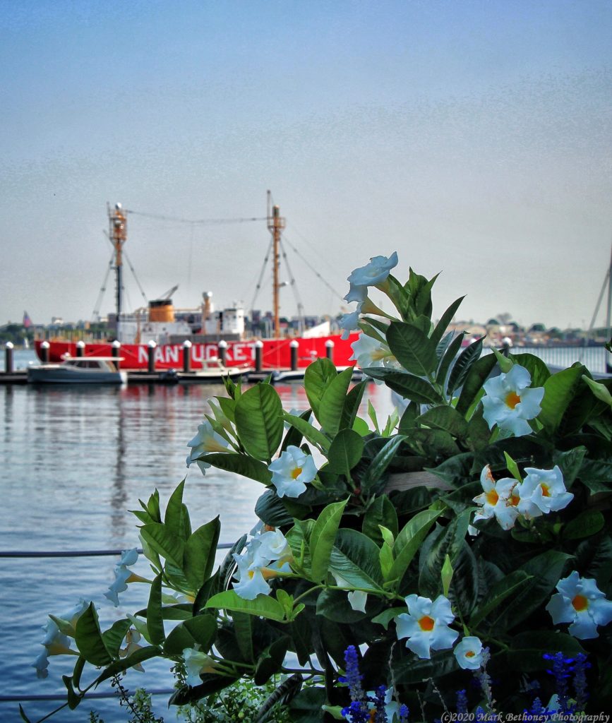 Photo of some flowers in the foreground with the Nantucket Lightship blurred in the background.
