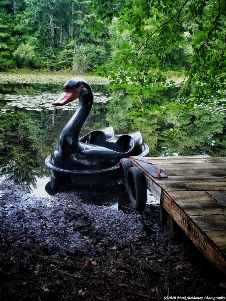 Black Swan pedddleboat docked