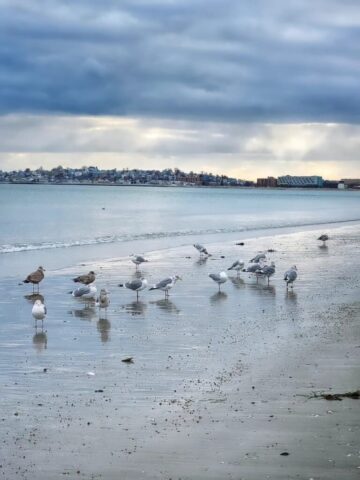 610885030_10237230377514422_2068943087080952424_n