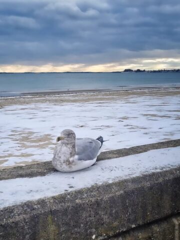 611900625_10237230377594424_3293409764277843593_n