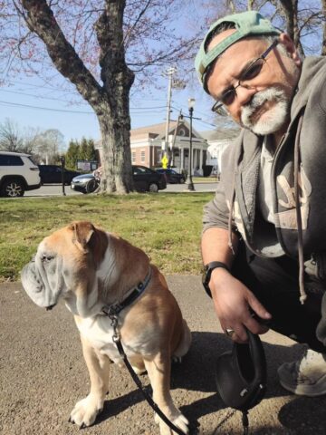 Just a couple of Bulldogs in the park
